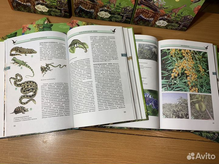 Энциклопедия живой природы