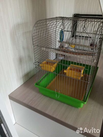 Клетка для попугая