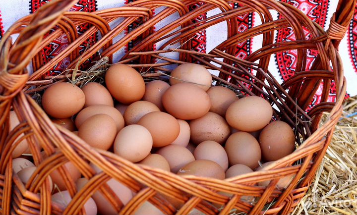 Упаковка яиц вахта 15 30 45 60