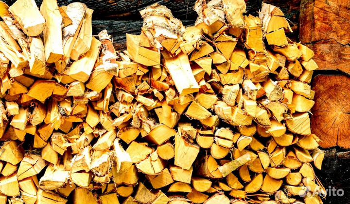 Кора березы