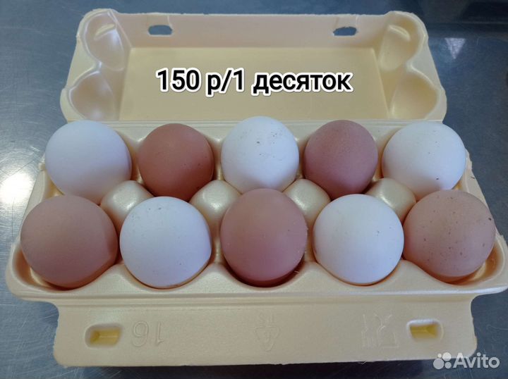 Домашние куриные яйца