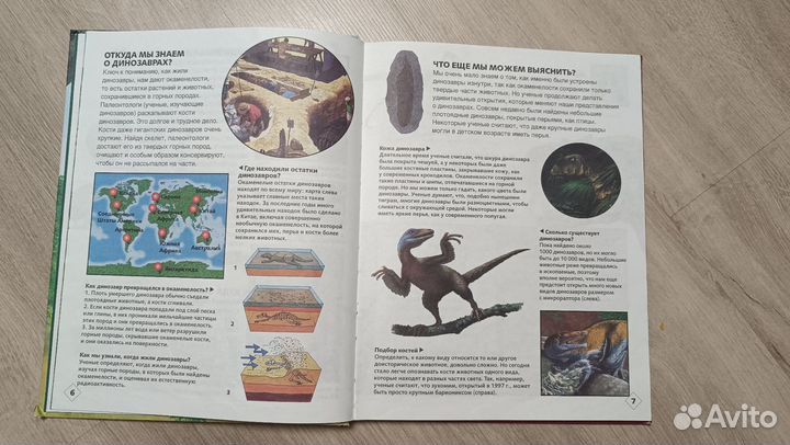 Книга Динозавры