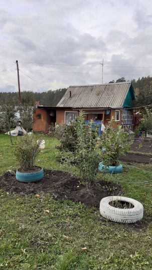 Дача 32,9 м² на участке 4,7 сот.