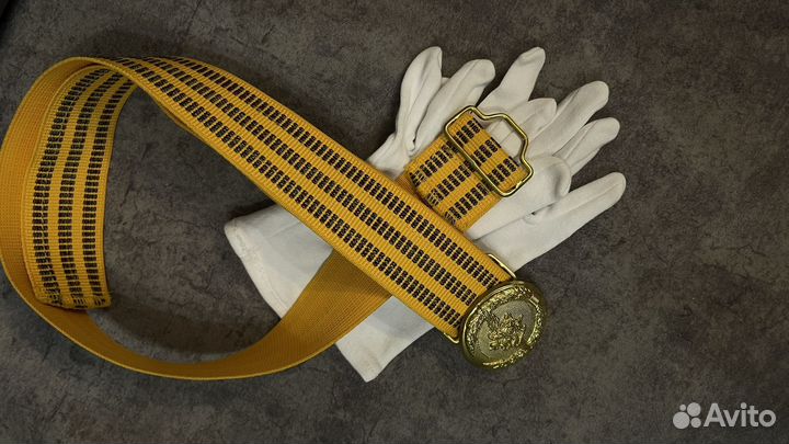 Полицеская форма