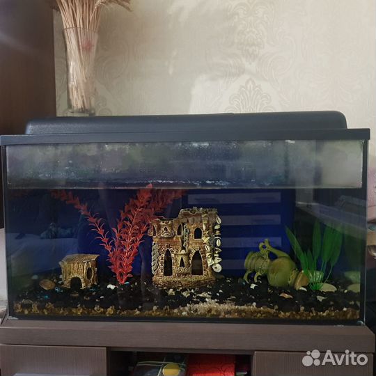 Аквариум