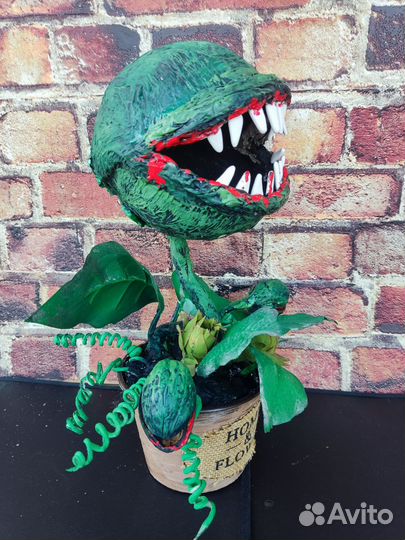 Цветок монстр