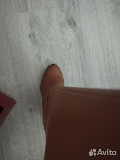 Сапоги женские нат кожа, 39 демисезонные