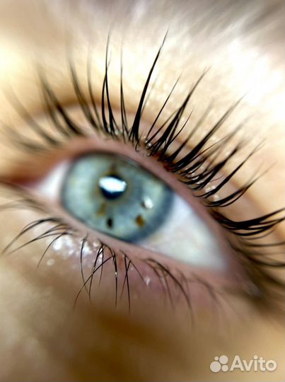 Ламинирование ресниц, брови, ботокс