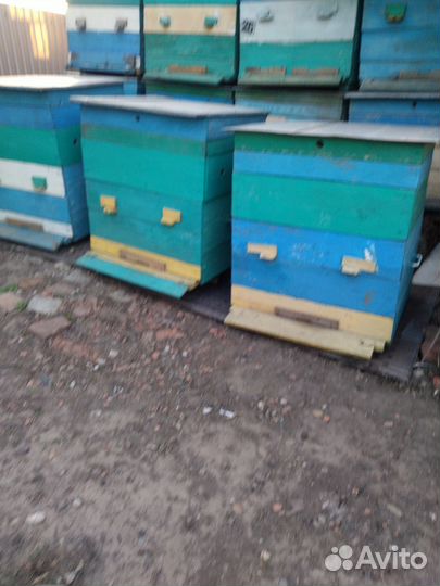Ульи для пчел 14 рамочные
