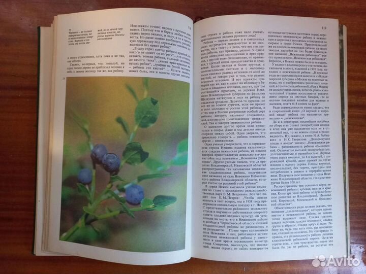 Книга Дары природы 1984 год