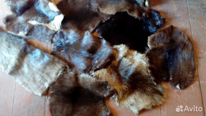 Шкура норки