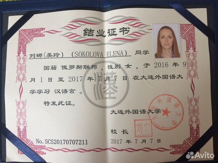 Китайский язык