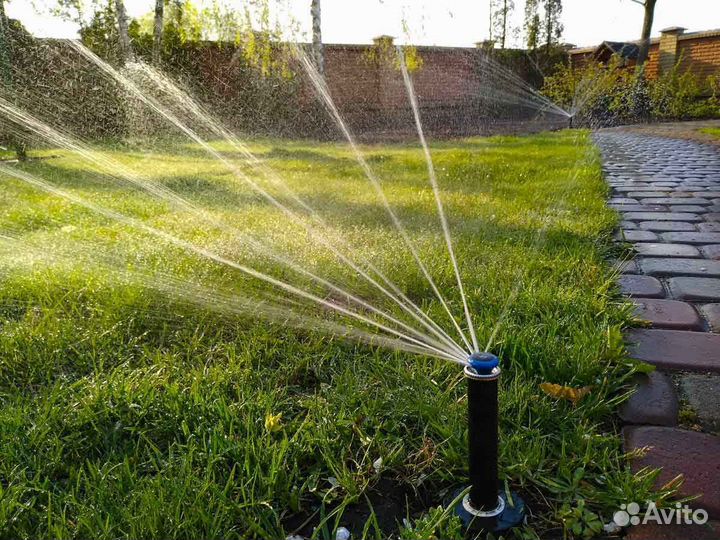 Укладка и продажа рулонного газона