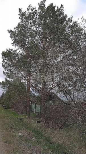 Участок 23,8 сот. (ИЖС)