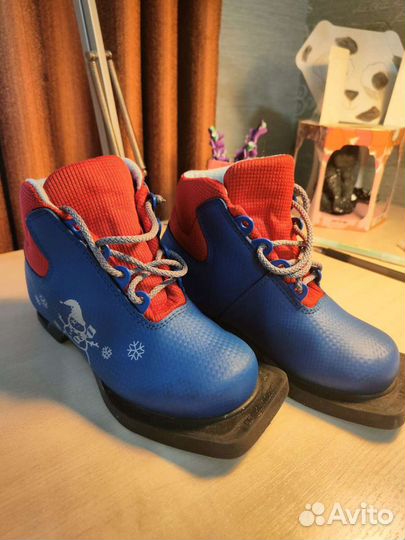 Лыжные ботинки