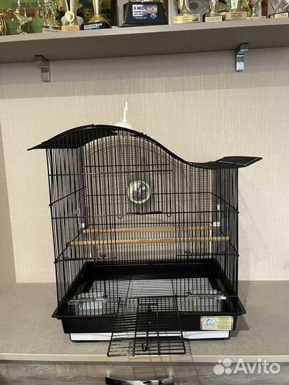 Клетка для попугая(ев)
