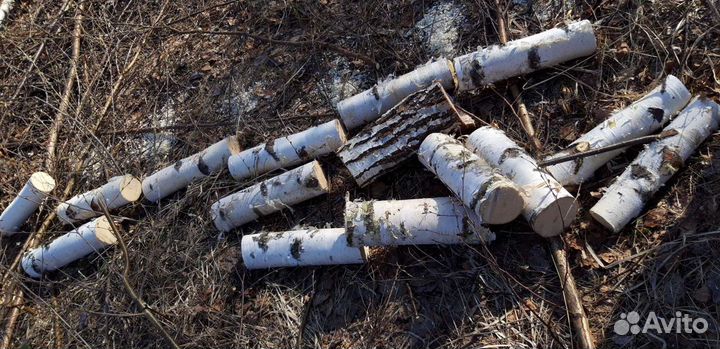 Бесплатно дрова берёзовые и кленовые