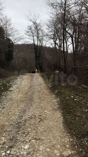 Участок 5,5 сот. (СНТ, ДНП)