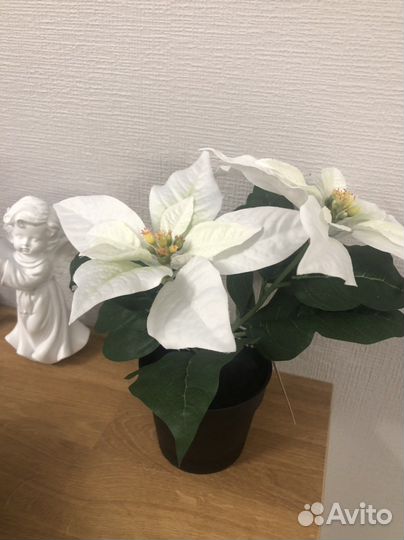 IKEA фейка цветок искусственный