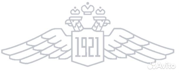 Водитель на служебном автомобиле