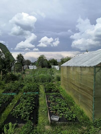 Участок 5 сот. (СНТ, ДНП)