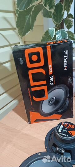 Динамики hertz