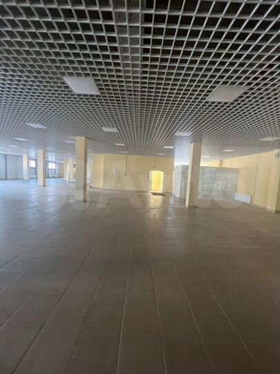 Торговая площадь, 2000 м²