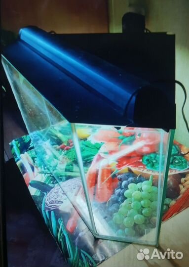 Аквариум 60 литров