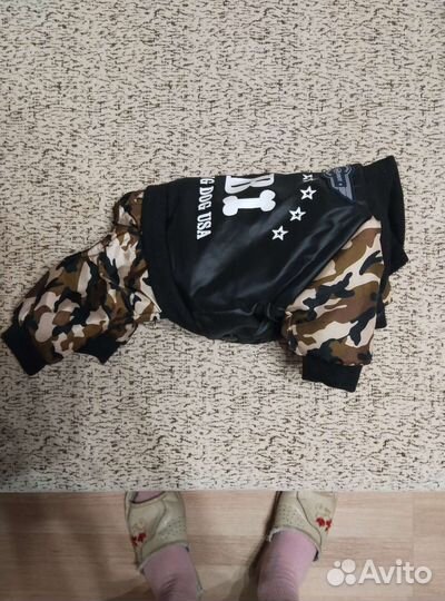 Одежда для маленьких собак