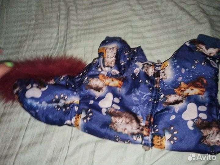 Костюм для маленькой собаки