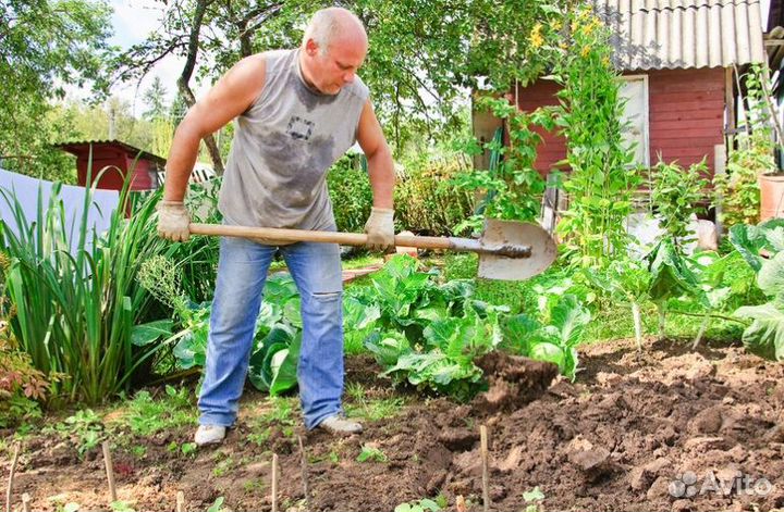 Перегной. Грунт. Торф. Навоз