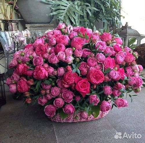 Живые цветы букеты пионовидные розы,цветы доставка