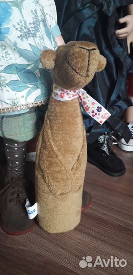 Медведь Zwergnase