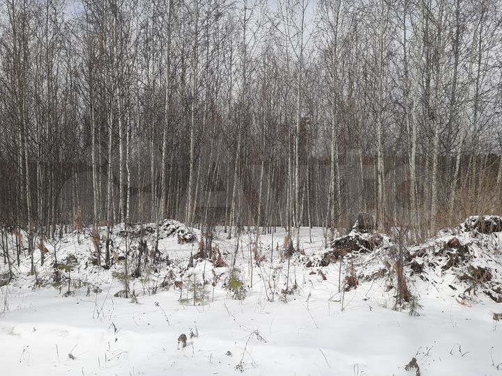 Участок 20 сот. (ИЖС)