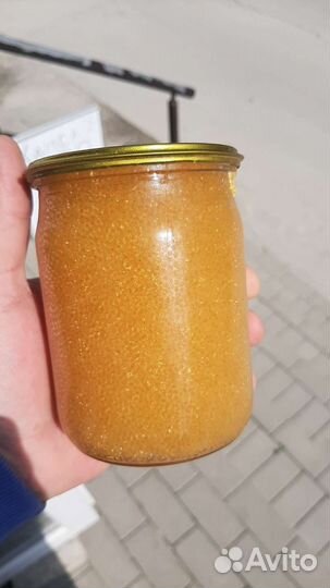 Икра щуки