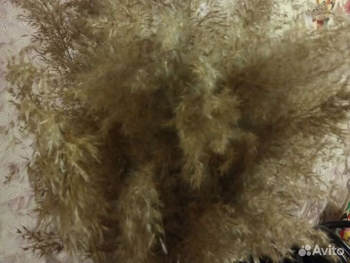 Букет из сухоцветов