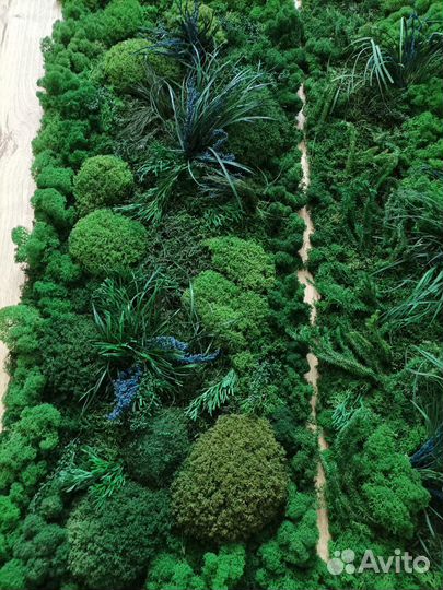 Панно мох стабилизированный