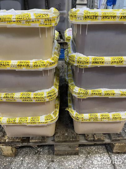 Натуральный гречишный мед оптом