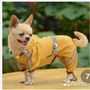 Дождевик для собак