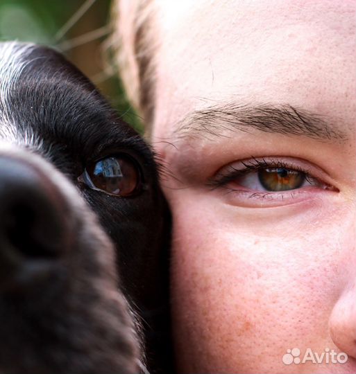 Фотограф-анималист