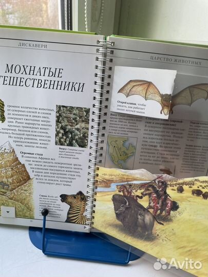 Царство животных. Дискавери