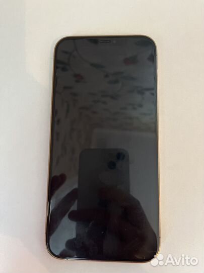 iPhone 12 Pro Max, 256 ГБ