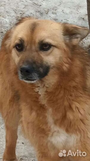 Дождется ли Ника своего человека