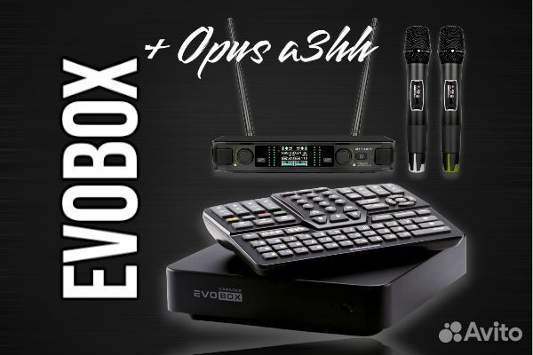 Караоке система evobox с микрофонами opus A3hh
