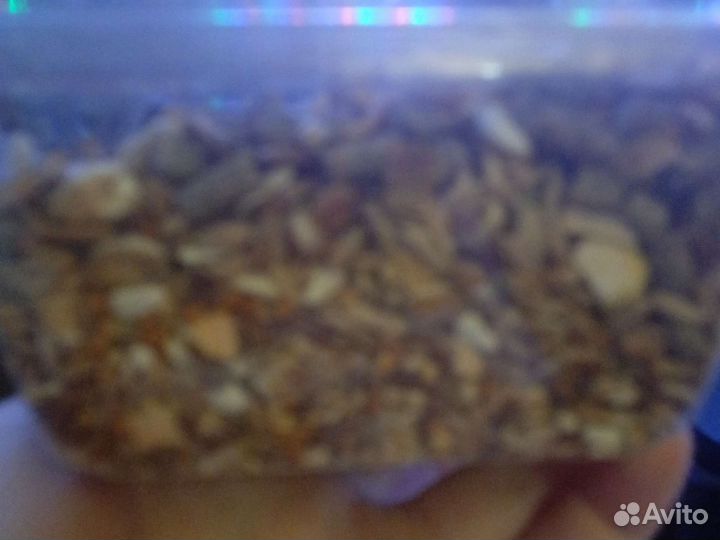 Контейнер для хомячка со всеми вещями к