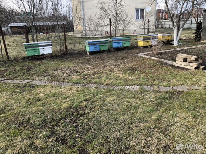 Пчеволодные ульи