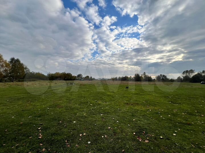 Участок 10 сот. (СНТ, ДНП)