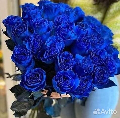 Синие розы. Букеты Цветы доставка