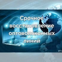 Интернет в офис, частный дом или квартиру, Елизово