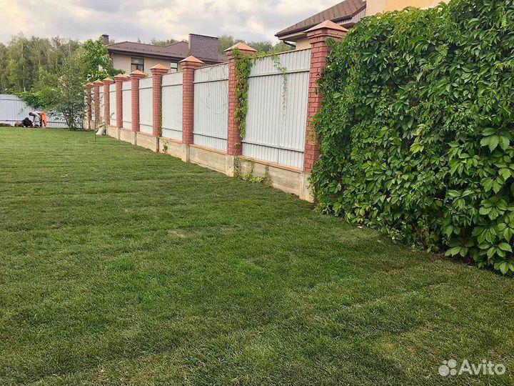 Рулонный газон /продажа/укладка